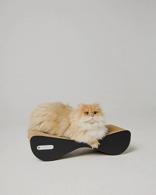 Tommy Cat Дроп чёрный