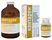 АлексАнн Кантарен