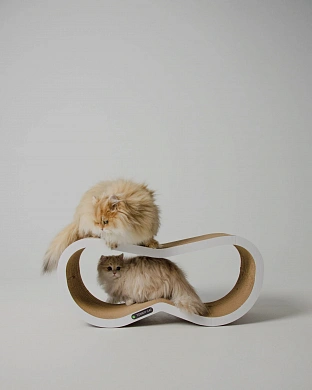 Tommy Cat Слэш