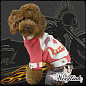 WoofLink Куртка "Biker Pooch" унисекс